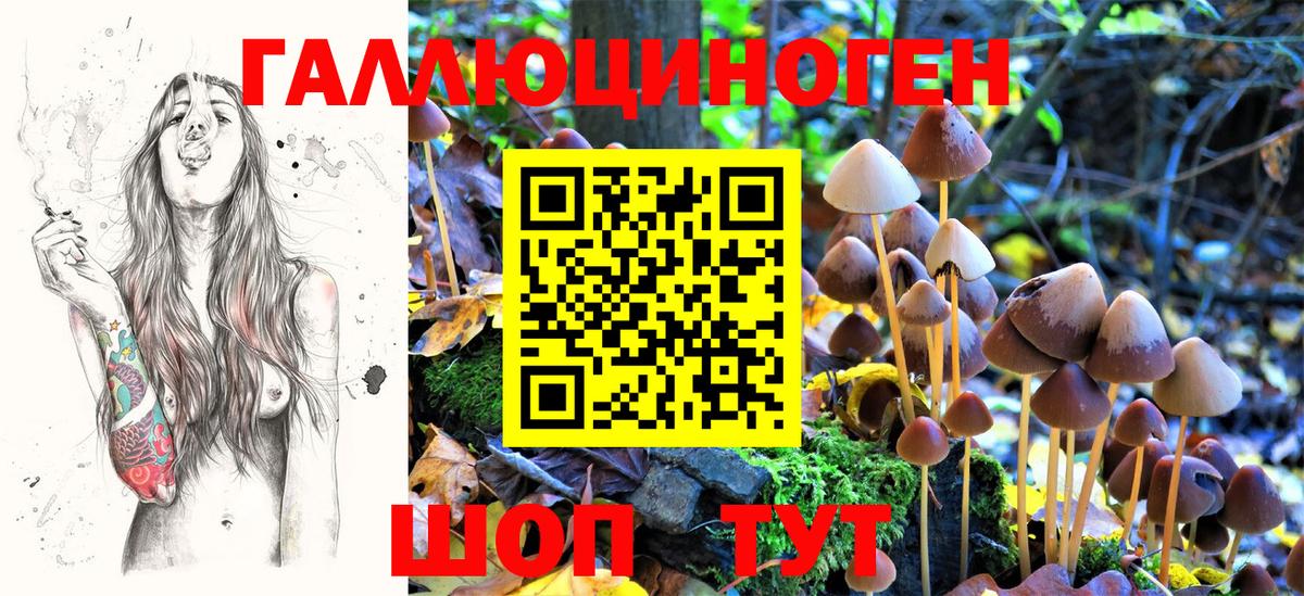 Купить наркотик  Комсомольск-на-Амуре  LSD-25  Мефедрон кристаллы  APVP СК кристаллы  ГЕРОИН  Вход с VPN  COCAIN  Экстази  Бошки Шишки 