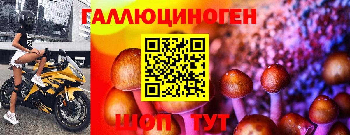 Комсомольск-на-Амуре  Галлюциногенные грибы ЛСД  Псилоцибиновые грибы MAGIC MUSHROOMS  Вход с VPN 